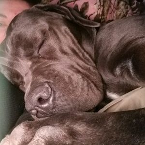 Meet your Posher, Carrie